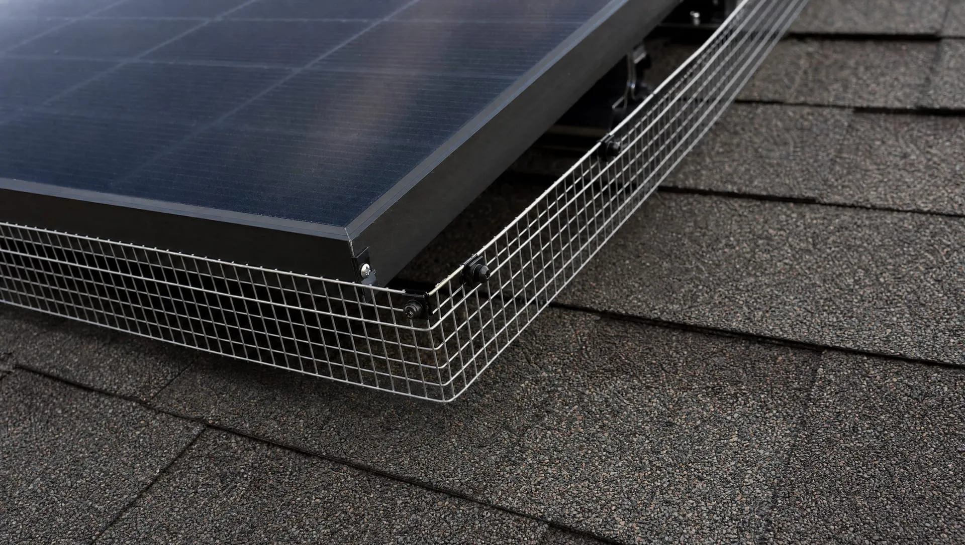 Critter guard mesh installed along rooftop solar panels